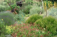 Экологический дизайн в саду