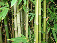 Подушки с натуральным бамбуковым волокном