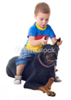 Ребёнок и собака: кто кого воспитывает?