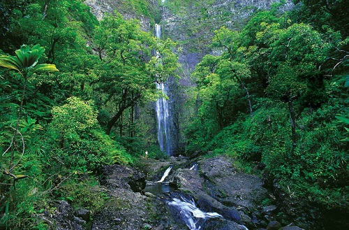 Самые красивые водопады мира: ТОП-3